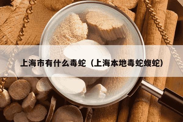 上海市有什么毒蛇（上海本地毒蛇蝮蛇）