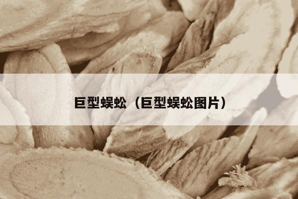 巨型蜈蚣（巨型蜈蚣图片）