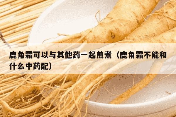 鹿角霜可以与其他药一起煎煮（鹿角霜不能和什么中药配）
