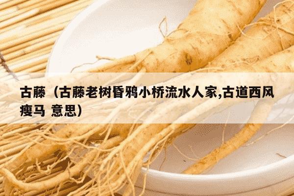 古藤（古藤老树昏鸦小桥流水人家,古道西风瘦马 意思）