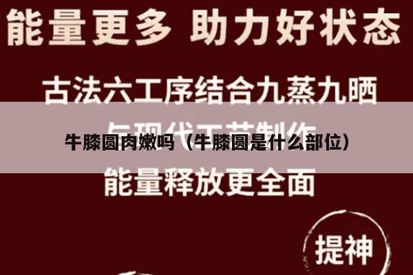 牛膝圆肉嫩吗（牛膝圆是什么部位）