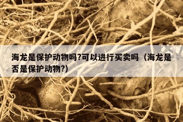 海龙是保护动物吗?可以进行买卖吗（海龙是否是保护动物?）