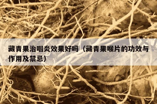 藏青果治咽炎效果好吗（藏青果喉片的功效与作用及禁忌）