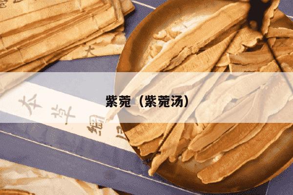紫菀（紫菀汤）