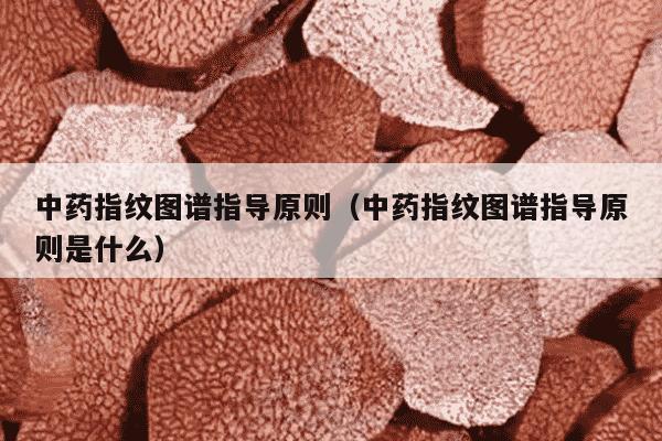 中药指纹图谱指导原则（中药指纹图谱指导原则是什么）