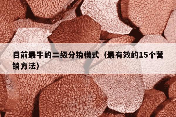 目前最牛的二级分销模式（最有效的15个营销方法）
