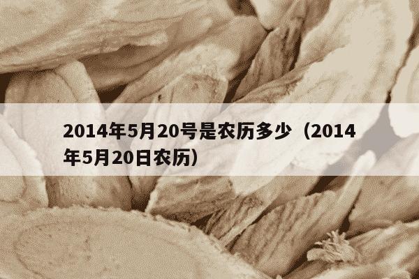 2014年5月20号是农历多少（2014年5月20日农历）