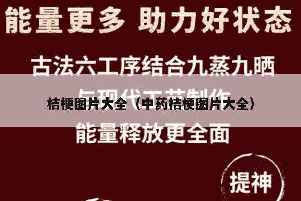 桔梗图片大全（中药桔梗图片大全）