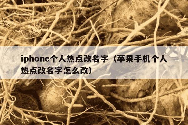 iphone个人热点改名字（苹果手机个人热点改名字怎么改）