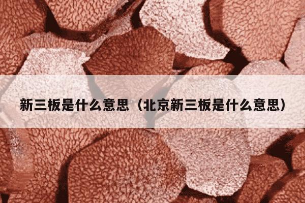 新三板是什么意思（北京新三板是什么意思）