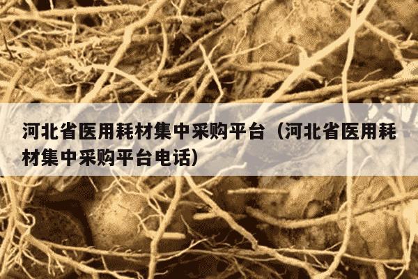 河北省医用耗材集中采购平台（河北省医用耗材集中采购平台电话）