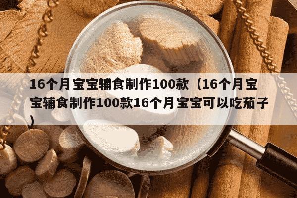 16个月宝宝辅食制作100款（16个月宝宝辅食制作100款16个月宝宝可以吃茄子）
