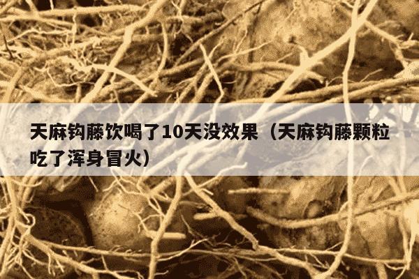 天麻钩藤饮喝了10天没效果（天麻钩藤颗粒吃了浑身冒火）