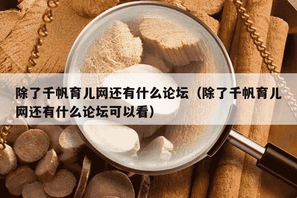 除了千帆育儿网还有什么论坛（除了千帆育儿网还有什么论坛可以看）