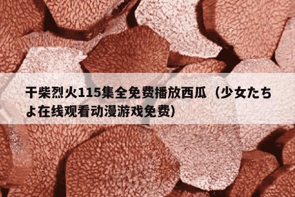 干柴烈火115集全免费播放西瓜（少女たちよ在线观看动漫游戏免费）