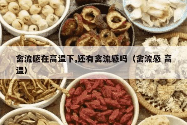 禽流感在高温下,还有禽流感吗（禽流感 高温）