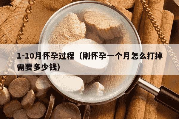 1-10月怀孕过程（刚怀孕一个月怎么打掉需要多少钱）