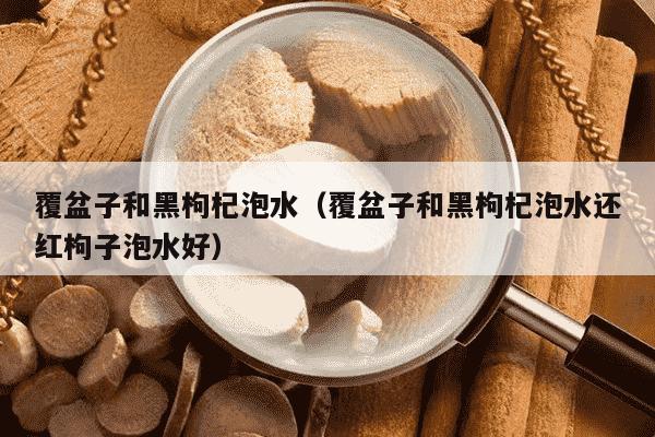 覆盆子和黑枸杞泡水（覆盆子和黑枸杞泡水还红枸子泡水好）
