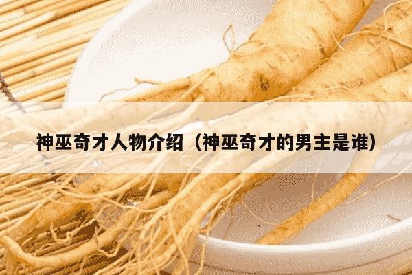 神巫奇才人物介绍（神巫奇才的男主是谁）