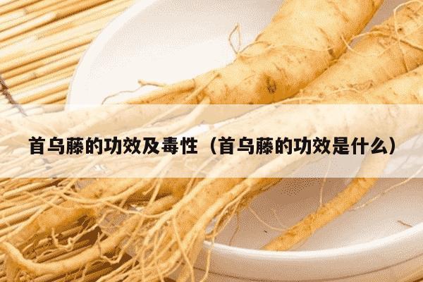 首乌藤的功效及毒性（首乌藤的功效是什么）