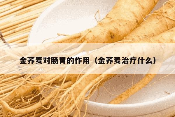 金荞麦对肠胃的作用（金荞麦治疗什么）