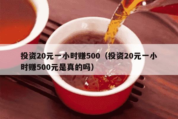 投资20元一小时赚500（投资20元一小时赚500元是真的吗）