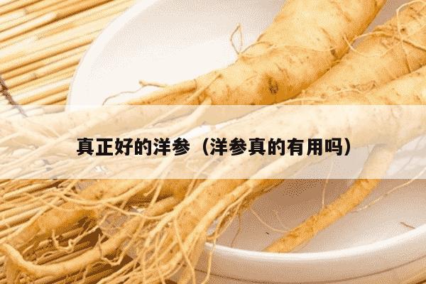真正好的洋参（洋参真的有用吗）