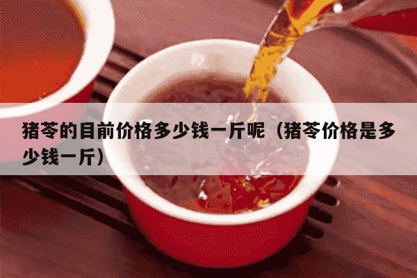 猪苓的目前价格多少钱一斤呢（猪苓价格是多少钱一斤）