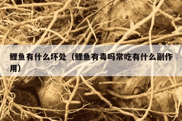 鲤鱼有什么坏处（鲤鱼有毒吗常吃有什么副作用）