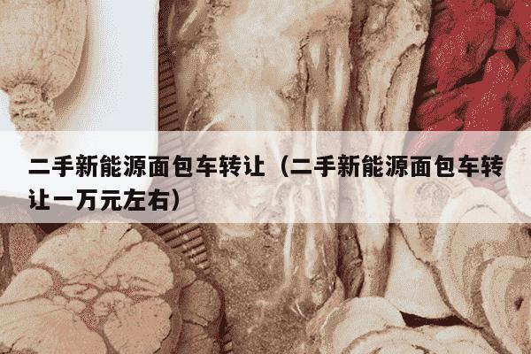 二手新能源面包车转让（二手新能源面包车转让一万元左右）