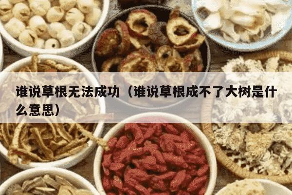 谁说草根无法成功（谁说草根成不了大树是什么意思）