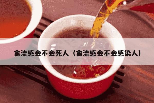 禽流感会不会死人（禽流感会不会感染人）