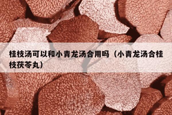 桂枝汤可以和小青龙汤合用吗（小青龙汤合桂枝茯苓丸）