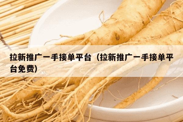拉新推广一手接单平台（拉新推广一手接单平台免费）