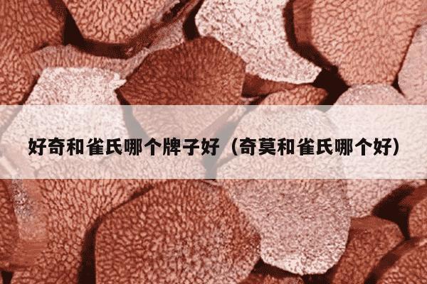 好奇和雀氏哪个牌子好（奇莫和雀氏哪个好）
