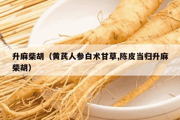 升麻柴胡（黄芪人参白术甘草,陈皮当归升麻柴胡）