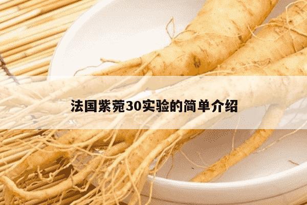 法国紫菀30实验的简单介绍