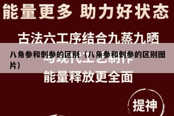 八角参和刺参的区别（八角参和刺参的区别图片）