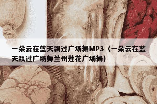 一朵云在蓝天飘过广场舞MP3（一朵云在蓝天飘过广场舞兰州莲花广场舞）