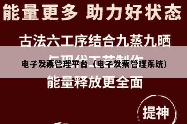 电子发票管理平台（电子发票管理系统）
