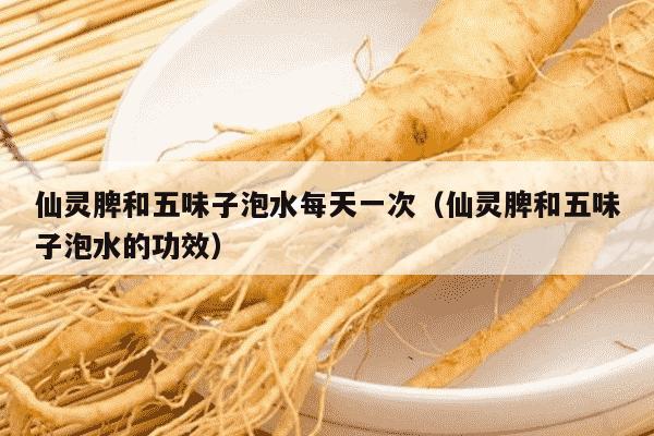 仙灵脾和五味子泡水每天一次（仙灵脾和五味子泡水的功效）