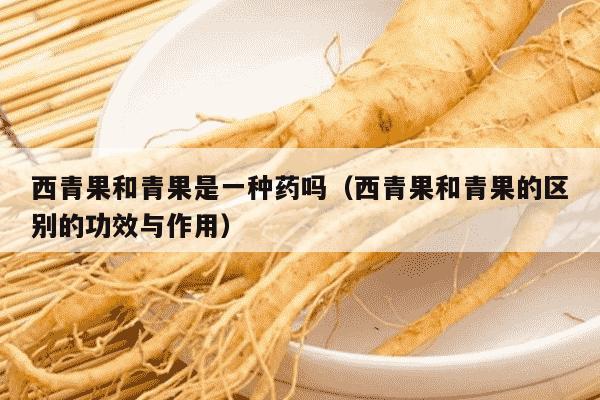 西青果和青果是一种药吗（西青果和青果的区别的功效与作用）