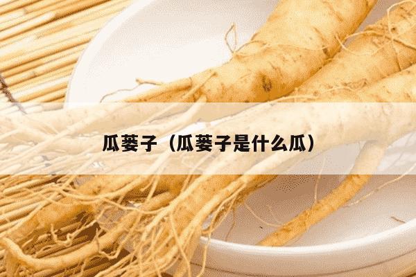 瓜蒌子（瓜蒌子是什么瓜）
