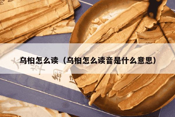 乌桕怎么读（乌桕怎么读音是什么意思）