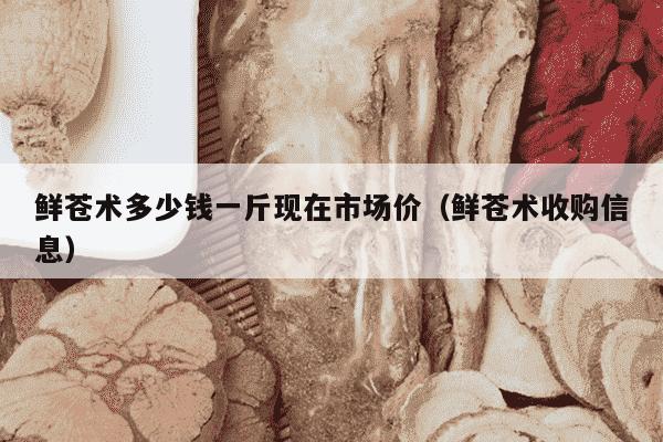 鲜苍术多少钱一斤现在市场价（鲜苍术收购信息）