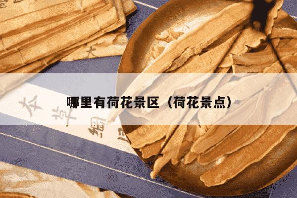 哪里有荷花景区（荷花景点）