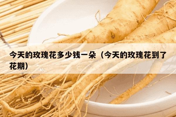 今天的玫瑰花多少钱一朵（今天的玫瑰花到了花期）