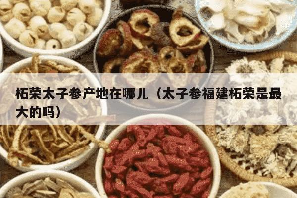 柘荣太子参产地在哪儿（太子参福建柘荣是最大的吗）