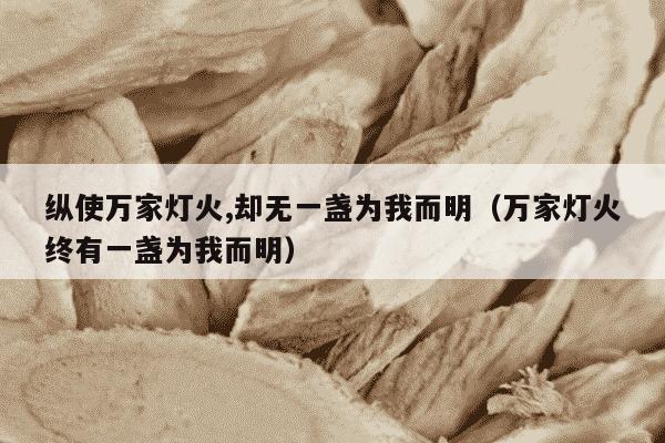 纵使万家灯火,却无一盏为我而明（万家灯火终有一盏为我而明）