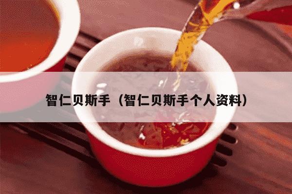 智仁贝斯手（智仁贝斯手个人资料）